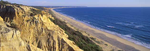 Aroeira strand (fonte da telha)